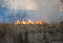 Photo of Un bărbat a suferit arsuri grave încercând să stingă un incendiu de vegetație