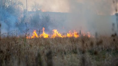 Photo of Un bărbat a suferit arsuri grave încercând să stingă un incendiu de vegetație