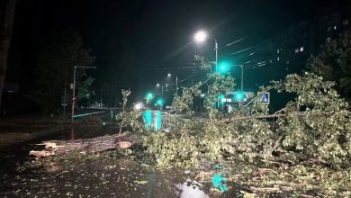 Photo of foto | Ploaia puternică a făcut ravagii la Ungheni: Arbori prăbușiți peste mașini și fire electrice căzute