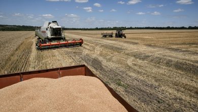 Photo of Reuters: Ucraina negociază cu R. Moldova tranzitul cerealelor spre România. Solicită o reducere de 50%