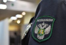 Photo of Rusia blochează importul de semințe și material săditor din R. Moldova