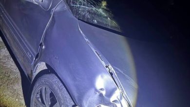 Photo of O femeie care conducea o bovină a murit după ce a fost lovită de o mașină, la Strășeni