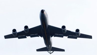 Photo of Mai mulți pasageri au fost blocaţi în Italia după ce o infestare cu ploşniţe a dus la anularea unui zbor
