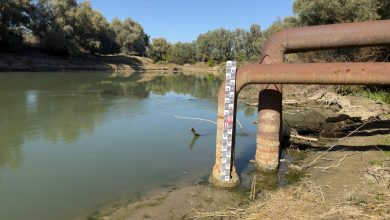 Photo of Scade nivelul Prutului: Autoritățile se pregătesc să intervină pentru ca 11 localități să nu rămână fără apă