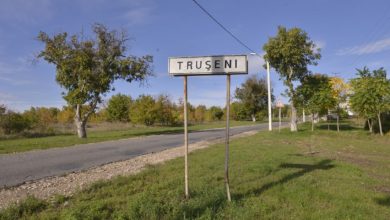 Photo of Schemă cu terenuri la Trușeni: Un inginer cadastral, luat sub strajă din sala de judecată, alți doi scapă de pedeapsă din cauza prescripției